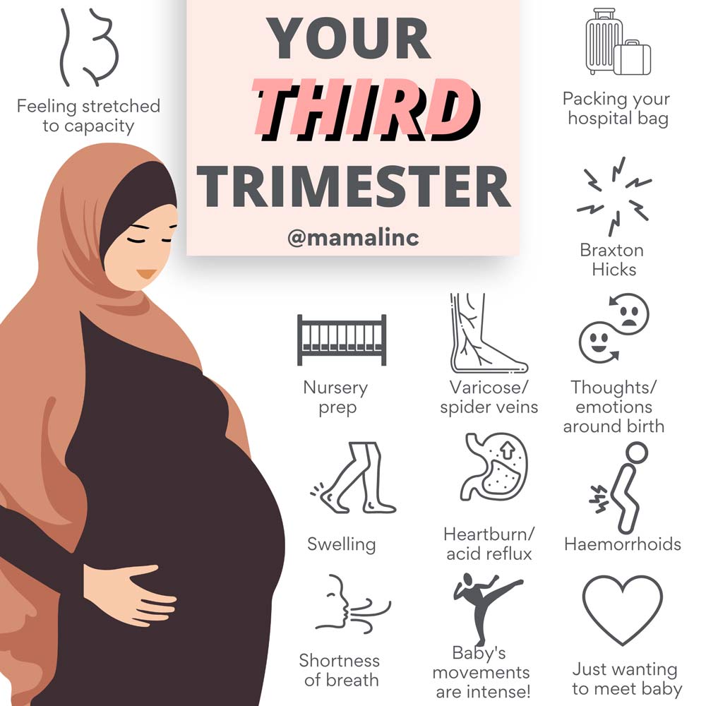 Your-third-trimester