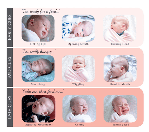 Your baby's hungry cues